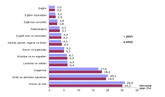 hanehalkı harcamaları 2016