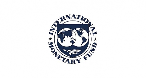 IMF`den flaş Türkiye açıklaması