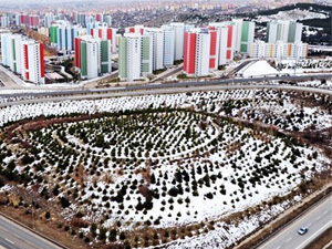 Kentsel dönüşüm ile 100 Bin kişiye kira yardımı