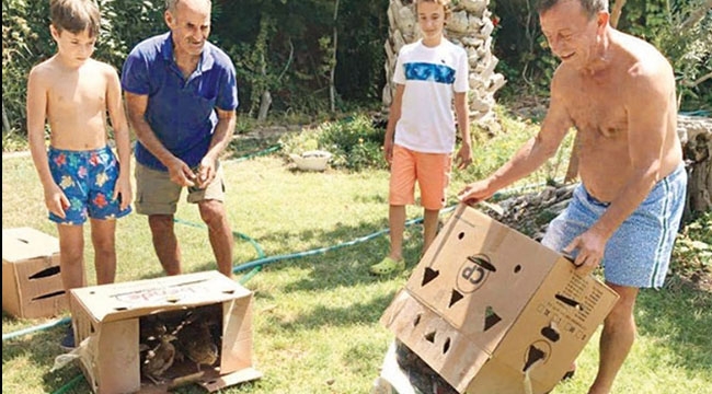 Ali Ağa'nın bir çiftliği var...