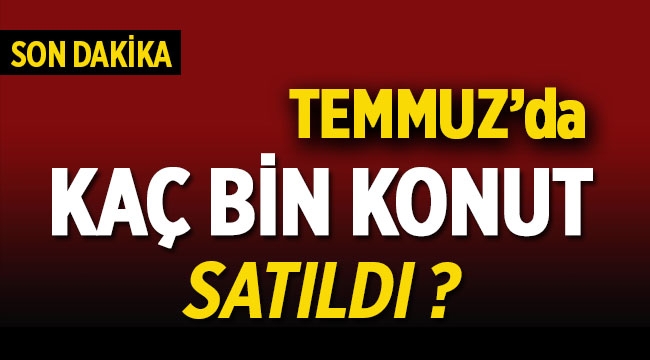 Temmuz ayı konut satış rakamları belli oldu