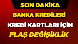 Kredi kartına taksit ve kredi borç yapılandırması düzenlemesi
