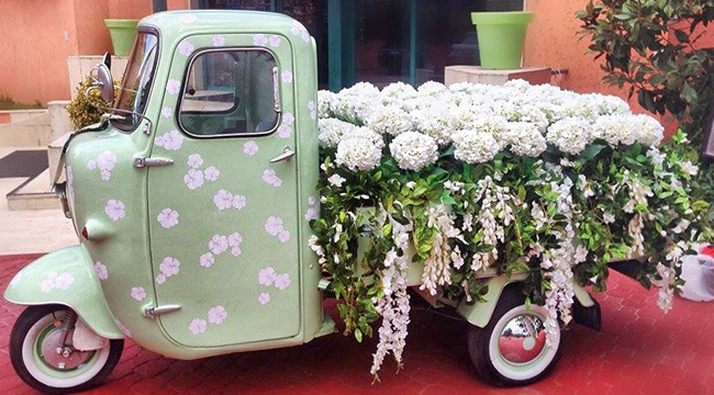 Tohumlar Yeşilyaka’dan, Büyütmek Sizden