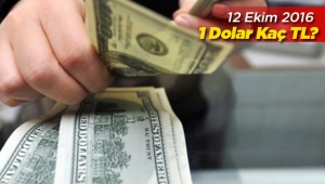 Dolar/TL 3.08 'i aştı rekora gidiyor