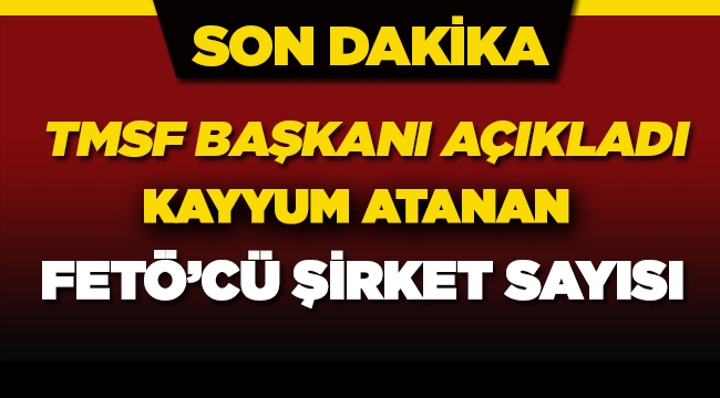 TMSF 'ye devredilen FETÖ'cü şirket sayısı 252