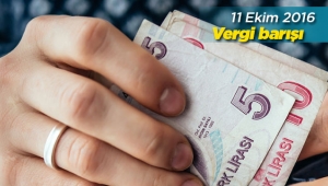Vergi barışında Gücü olan peşin ödesin! Başvuru için 31 Ekim son