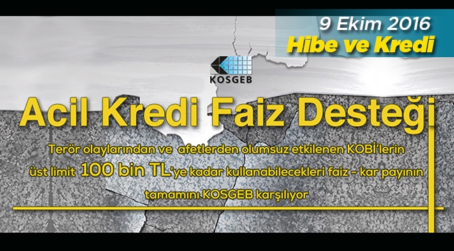 Yeni bir iş kuracaklar dikkat! Devletten iş kurana karşılıksız 50 bin TL.