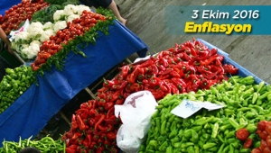 Yurt içi üretici fiyat endeksi (Yİ-ÜFE) aylık yüzde 0.29 arttı - Eylül 2016 Enflasyon (1)