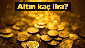 Altın fiyatları ne kadar geriledi?