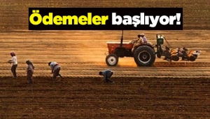 Binlerce çiftçi için destek ödemeleri başlıyor