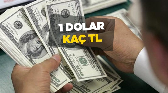 Dolar fiyatları tarihi zirveyi gördü! 1 Dolar kaç lira?