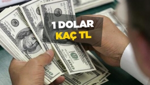 Dolar fiyatları tarihi zirveyi gördü! 1 Dolar kaç lira?