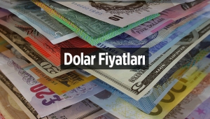 Dolar ne kadar? 8 Kasım Döviz fiyatları son durum
