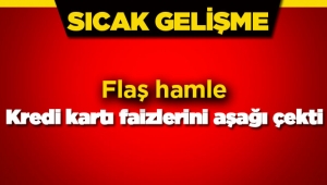 Merkez Bankası'nın kart faiz oranları ayarı (1)