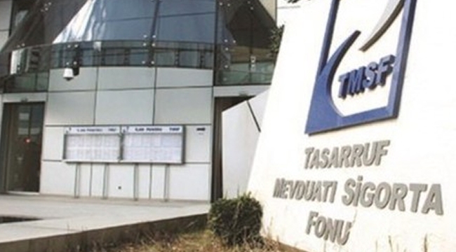 TMSF el koyduğu  iki şirket için satış kararı aldı