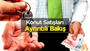 Kasım ayı konut satış istatistikleri - Ayrıntılı bakış