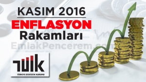 2016 yılı Kasım ayına ilişkin ilk enflasyon rakamları (TEFE-TÜFE) açıklandı