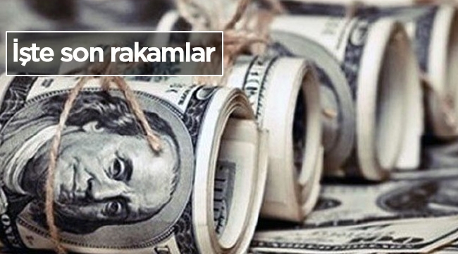 Cumhurbaşkanı Erdoğan satın dedi en fazla dolar hesaplarında satış oldu