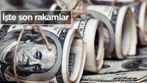 Cumhurbaşkanı Erdoğan satın dedi en fazla dolar hesaplarında satış oldu