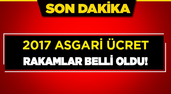 Son dakika: Asgari Ücret 2017 rakamları açıklandı