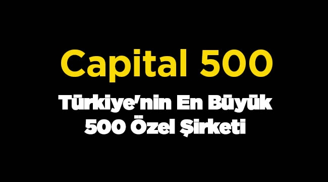 Türkiye'nin En Büyük 500 Özel Şirketi 2016