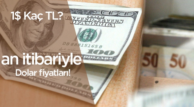 Dolar şu saatlerde kaç lira?