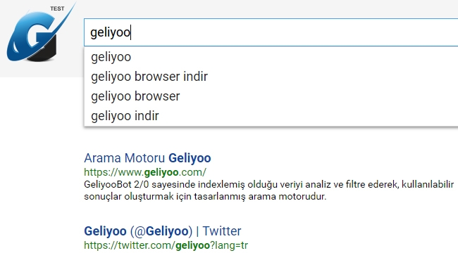 Geliyoo.com Türkiye'nin ilk yerli arama motoru test yayınına başladı