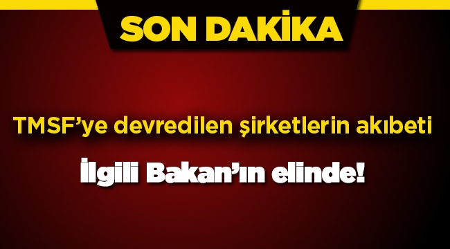 TMSF`ye devredilen şirketlerin satışı ve akibetinde flaş gelişme