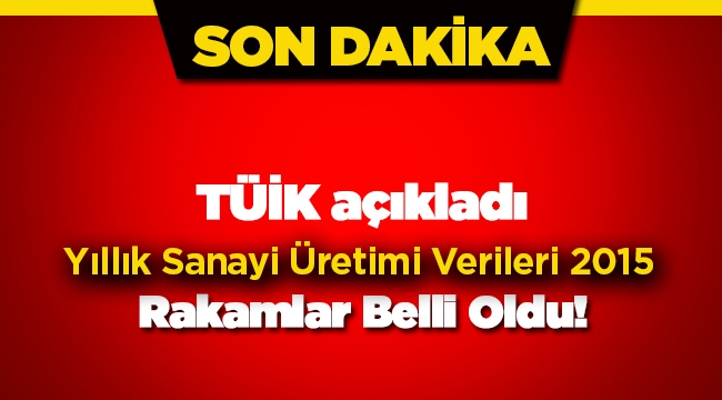 Yıllık sanayi ürünleri üretimi istatistikleri açıklandı