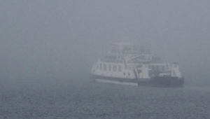 İstanbul'da yoğun sis deniz ulaşımına engel oldu