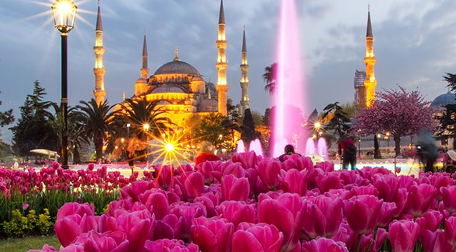 2017 İstanbul Lale Festivali başladı en güzel laleler nerede?