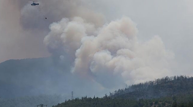 İzmir'de Makilik alanda büyük Orman Yangını felaketi