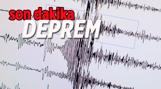 Muğla'da sabaha karşı 4 büyüklüğünde korkutan deprem