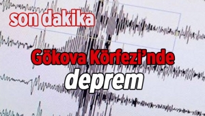 Son dakika deprem haberleri; Gökova Körfezi'nde korkutan deprem 4.3