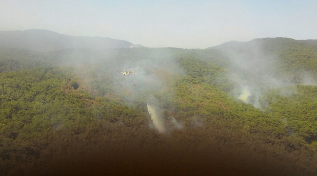 Bakan Eroğlu'ndan son dakika Kaz Dağları orman yangını açıklaması