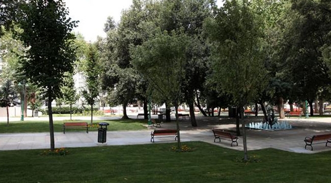 İstanbul'da fırtınada devrilen 2 bin 118 ağacın yerine 4 bin 236 ağaç dikilecek