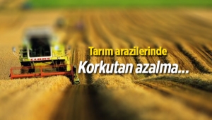 Tarım arazilerinde kayıp büyük