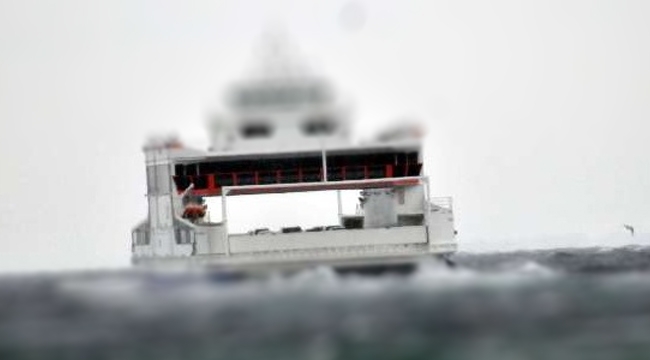 Son dakika: İDO ve BUDO 'da sefer iptalleri