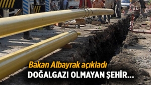 Bakan Albayrak açıkladı; 2018'de doğalgazı olmayan şehir kalmayacak