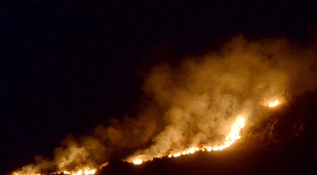 Bodrum’da korkutan yangın! Yerleşim yerlerine yaklaştı...