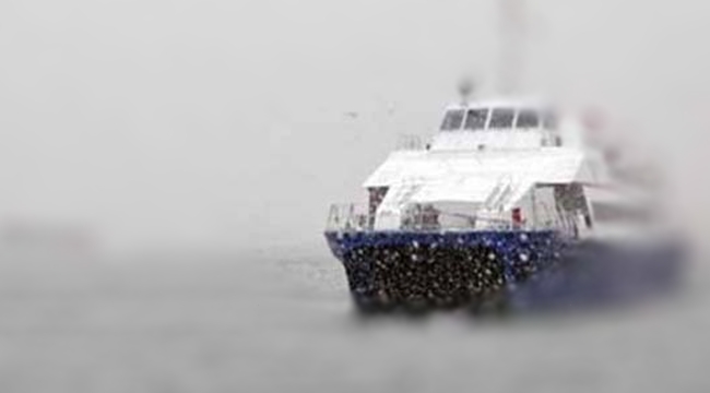 İDO ve BUDO'da son dakika seferler iptal edildi