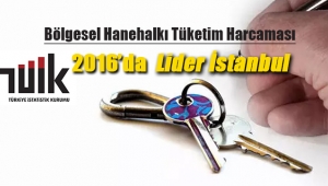 İstanbul Konut ve kira harcamalarında yüzde 30.4 oranla birinci