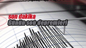 Muğla sabaha kadar depremlerle sarsıldı - Bölgede yaşanan son depremler