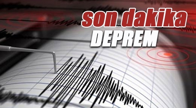 İzmir Körfezi'nde 4.6 büyüklüğünde korkutan deprem -  Son depremler