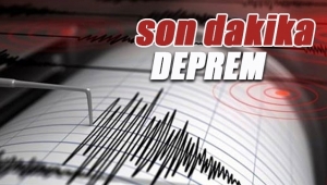 İzmir Körfezi'nde 4.6 büyüklüğünde korkutan deprem - Son depremler
