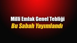 Kamu taşınmazlarına ilişkin Milli Emlak Genel Tebliği Resmi Gazete'de