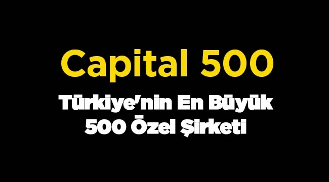 Türkiye'nin en büyük 500 şirketi