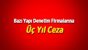 Bazı yapı denetim firmalarına üç yıl ceza