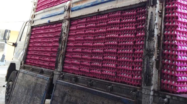Türkiye`den İran`a 2 Bin TIR yumurta