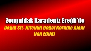 Zonguldak Karadeniz Ereğli'de Doğal Sit-Nitelikli Doğal Koruma Alanı ilan edildi